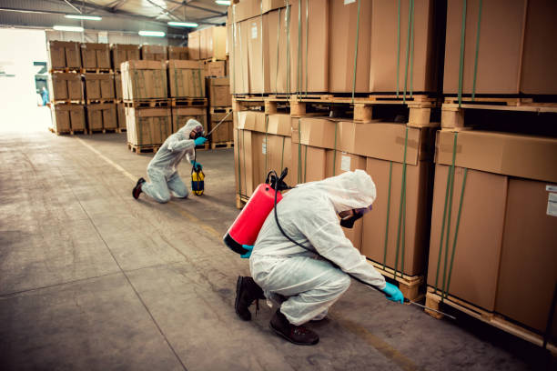 Best Residential Pest Control  in Menard, TX