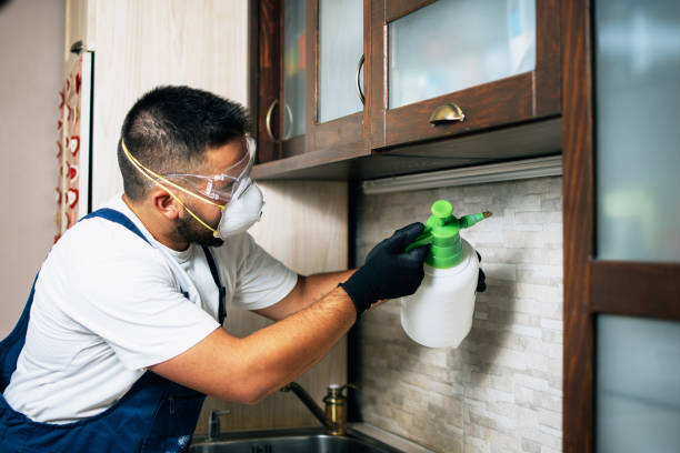 Best Affordable Pest Control Services  in Menard, TX