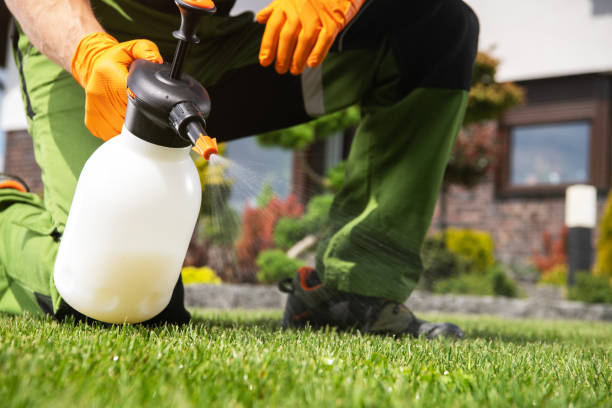 Best Best Pest Control Companies  in Menard, TX