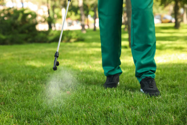 Best Pest Control Near Me  in Menard, TX
