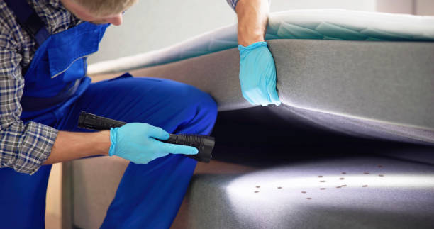 Best Ant Control Services  in Menard, TX